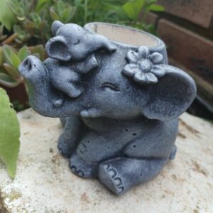 Elephant Succulent Planter