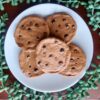Choc Chip Cookie Monster Magnet