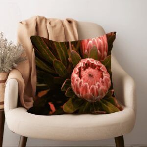 protea cushions