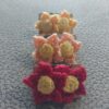 Sunset Serenade Bloom Earrings