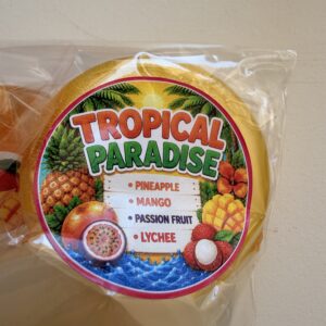 Tropical Paradise Gourmet Suckers (Set of 4)