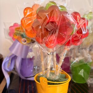 Flowers Suckers Pot