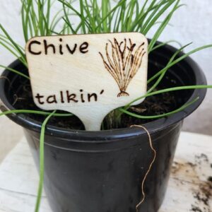 Punny pyrography garden herb tag - single
