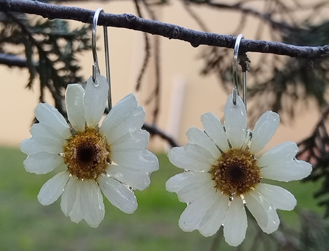 Daisy Bloom