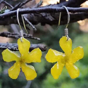 Geelsuring Delight Earrings