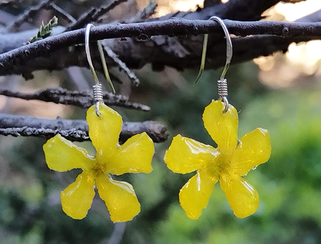 Geelsuring Delight Earrings